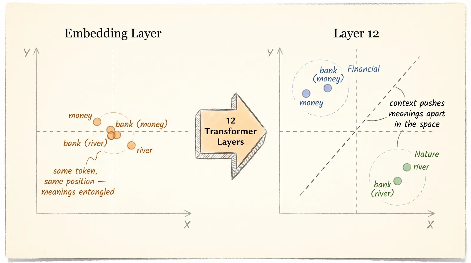Disentangling word meanings: the two senses of "bank" are pushed apart after 12 Transformer layers